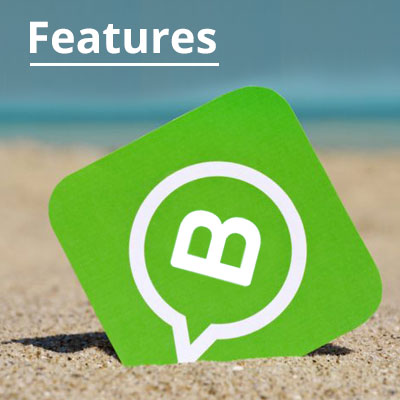whats-app-business-400
